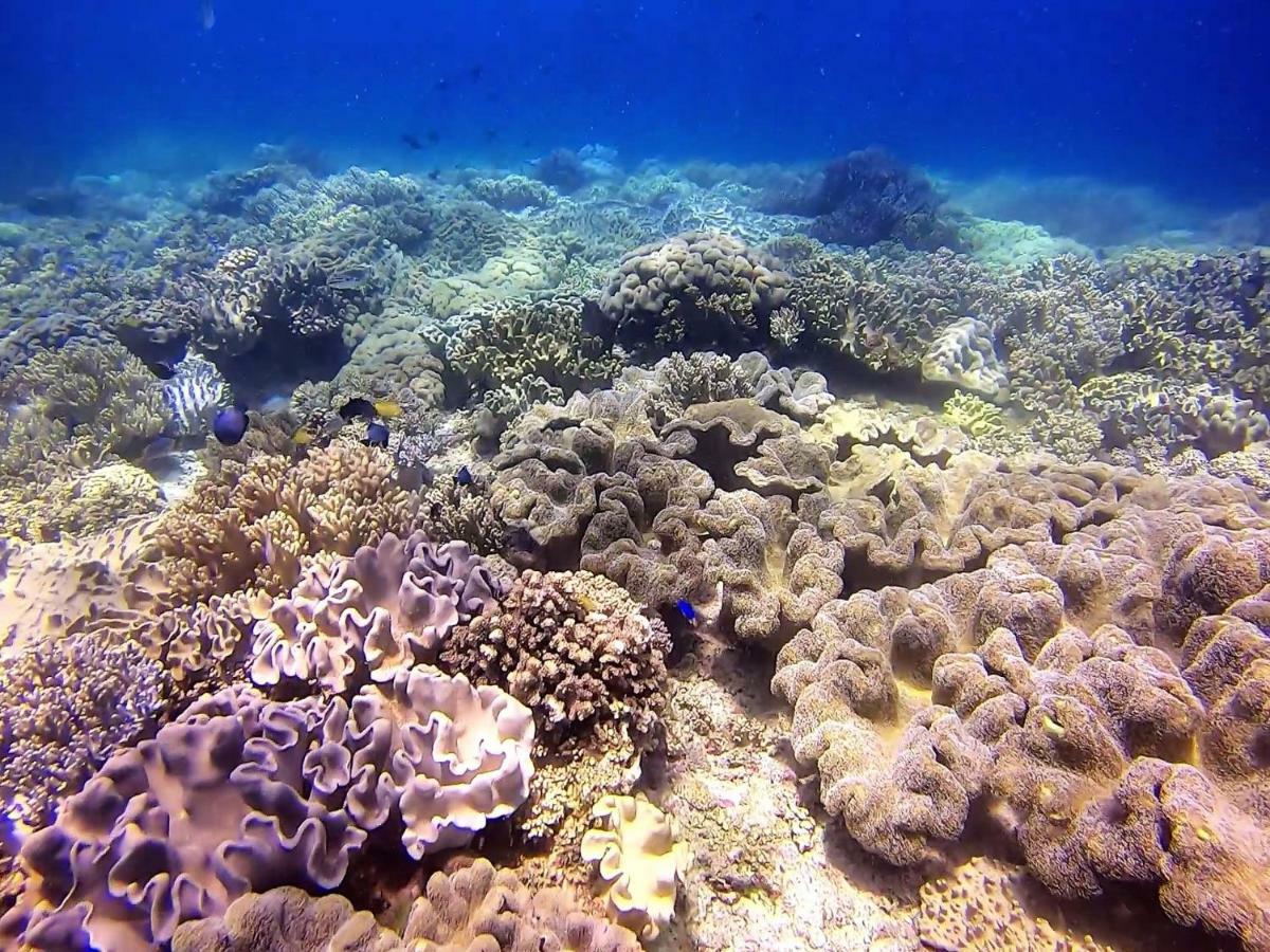 Casa Amihan Anda  Bagian luar foto